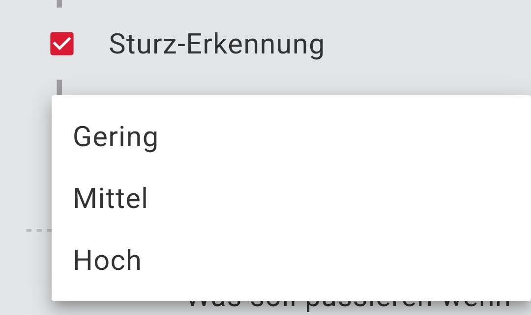 Screenshot_James_App_Sturzerkennung-20250707-065217.jpg